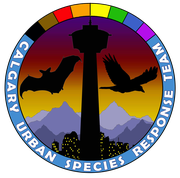 Calgary Urban Species Response Team Pride Logo Bottom