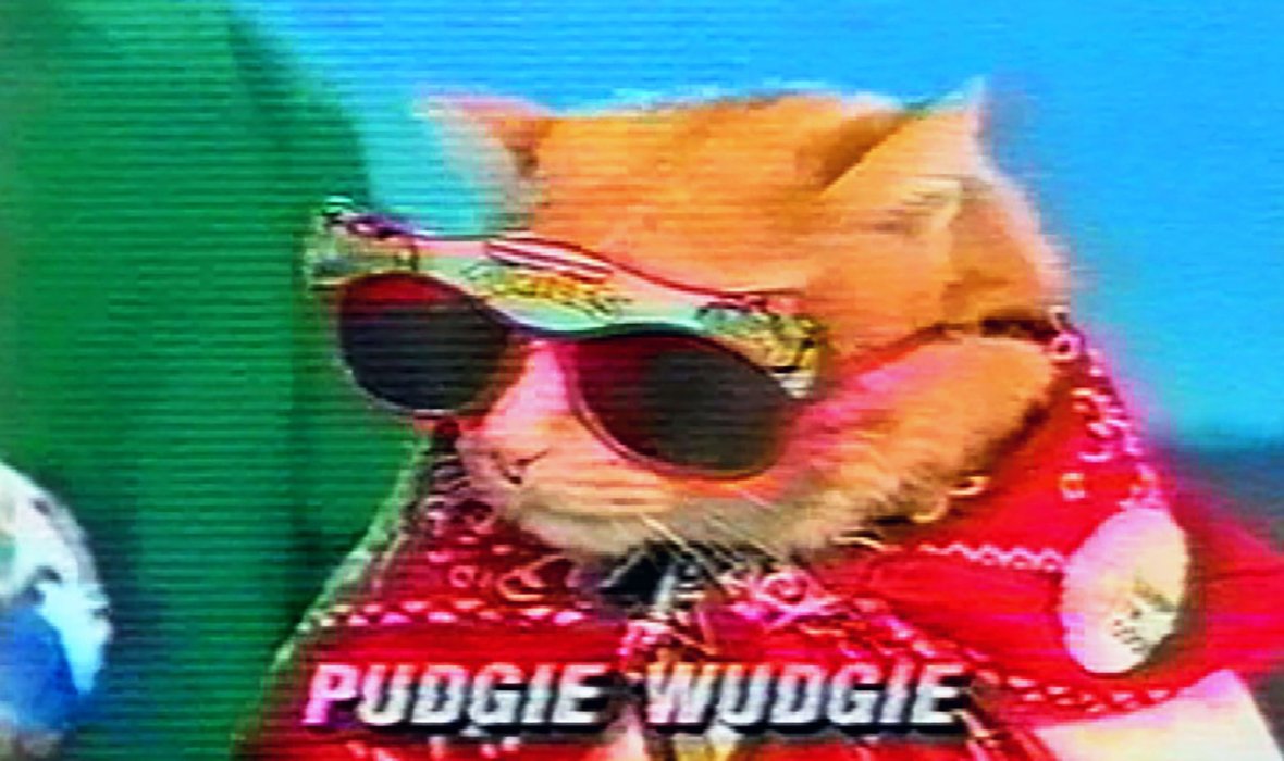 Pudgie_Wudgie