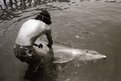 dolphin_lover